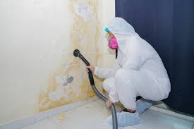 Best HVAC Mold Inspection and Cleaning  in Portland, TN